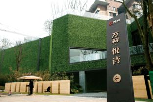 明筑高仿真植物墙,新型建材 型 动起来